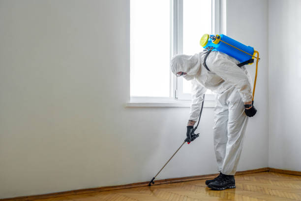 Best Residential Pest Control  in Ada, MN